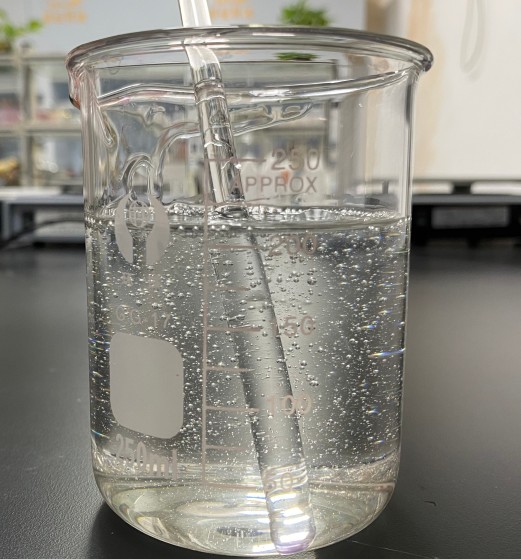 1688694973459672.jpg efb943ad4c1449f0daaee0bfbcba4c0a_1636523022484692.jpg